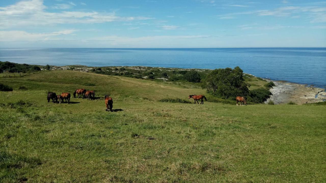 Posada Punta Linera 산비센테데라바케라 외부 사진